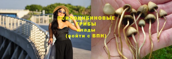 амф Богородицк