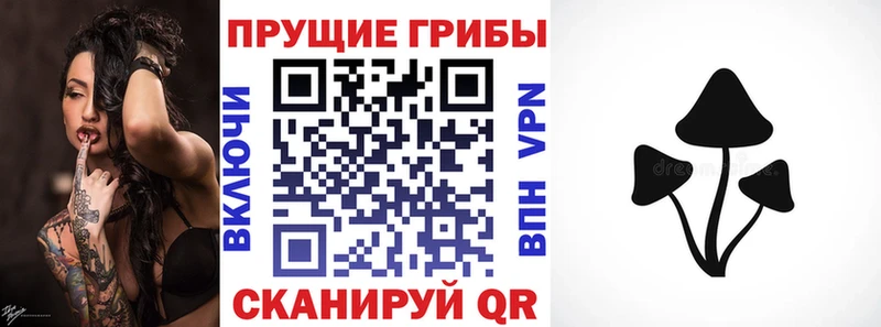 Псилоцибиновые грибы MAGIC MUSHROOMS Купить закладки Бабушкин